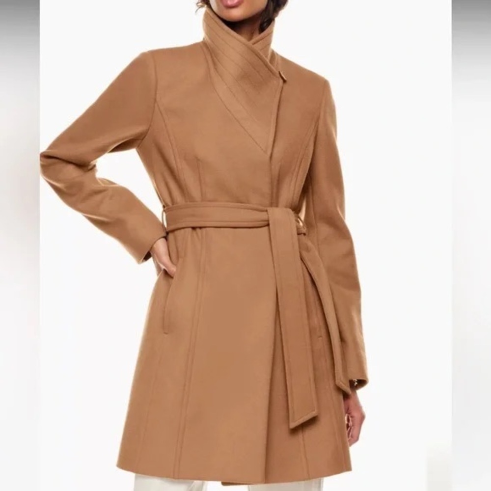 Aritzia Babaton “The Connor Coat”